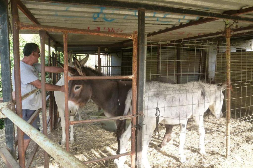 Finca Los Burros Totalan Luaran gambar