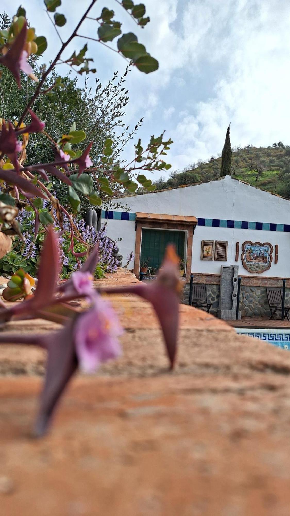Finca Los Burros Totalan Luaran gambar